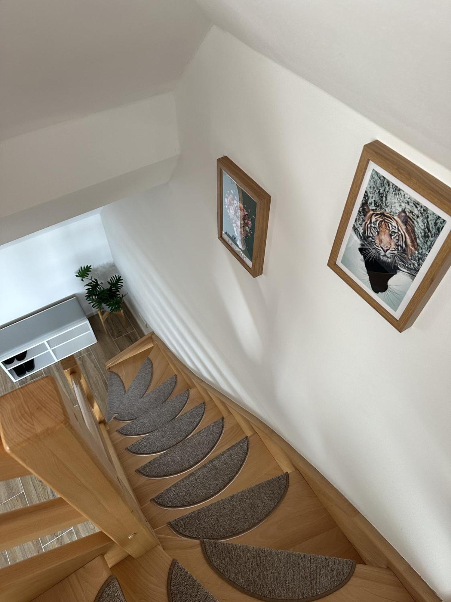 Europa Apartamenty 트르제삭츠 외부 사진